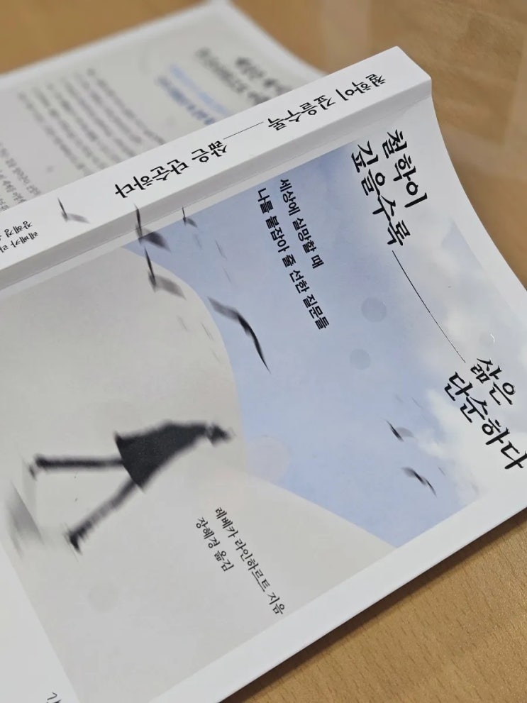  오늘의 독후감, 철학이 깊을수록 삶은 단순하다 - 레베카 라인하르트