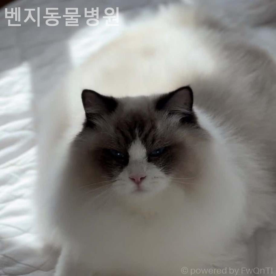 벤지동물병원 사진 3