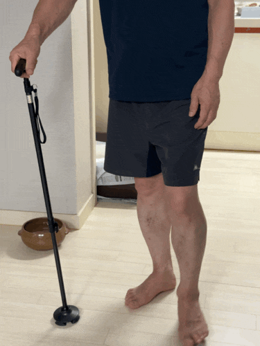 수술 후 거동 불편한 할머니께 선물한 가벼운 노인 지팡이, SHL 버디케인