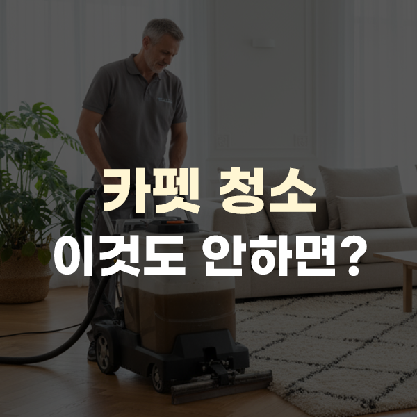  카페트 청소 방법, 세탁 관리 비용 주기 알아보자