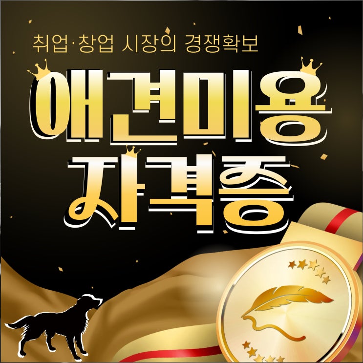  강아지미용자격증학원 자격증 종류부터 합격 노하우까지