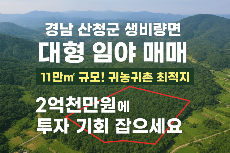  [경남 산청군 생비량면  대형 임야 매매] 11만 규모! 귀농귀촌 최적지 2억5천만원에 투자 기회 잡으세요