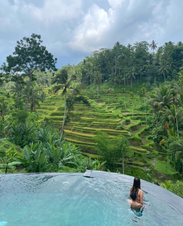  발리 티스 카페(Tis cafe), 뜨갈랑랑(Tegallalang), 티르타 엠풀 사원(Pura Tirta Empul) 방문 후기