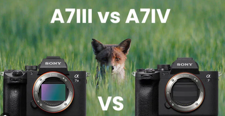  소니 A7C vs A7 IV vs A7C II – 풀프레임 미러리스 카메라 3종 완벽 비교