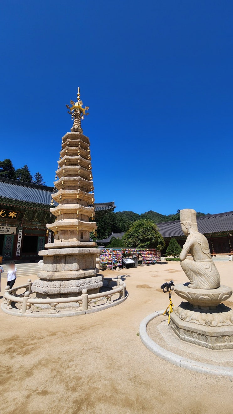  강원도 평창 가볼만한 곳 오대산 월정사