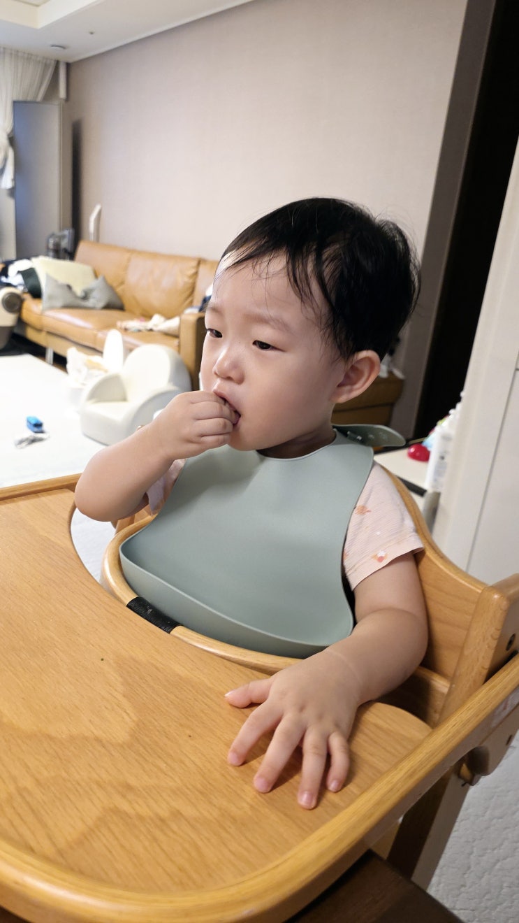  쁘띠윙스 실리콘턱받이, 쌍둥이 육아의 구원템! 이유식턱받이 고민 끝!