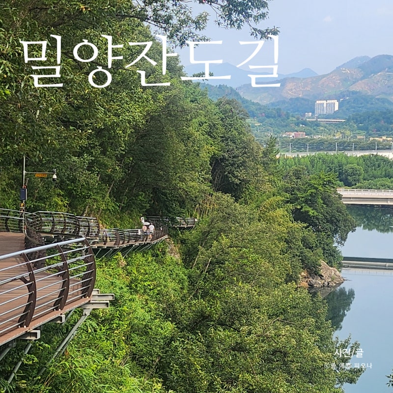 사진 2