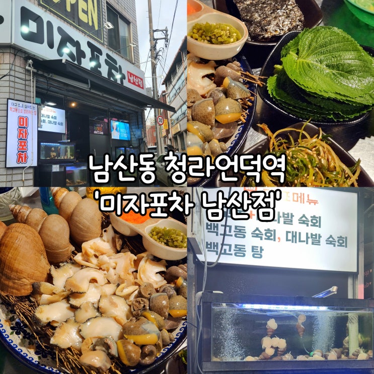  청라언덕역 맛집 미자포차 남산점 술안주로 딱 좋은 백고동소라와 숙회