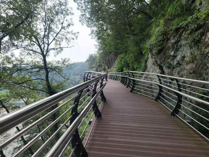 용두산생태공원수변산책로