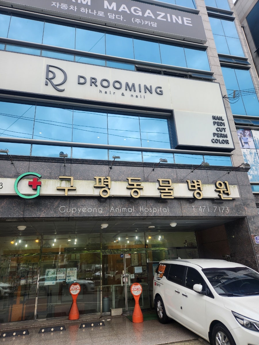 앤네일 사진 3