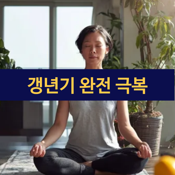  갱년기 극복하기 | 호르몬 변화에 맞선 여성들의 똑똑한 건강 전략과 새로운 삶의 시작을 위한 완벽 가이드