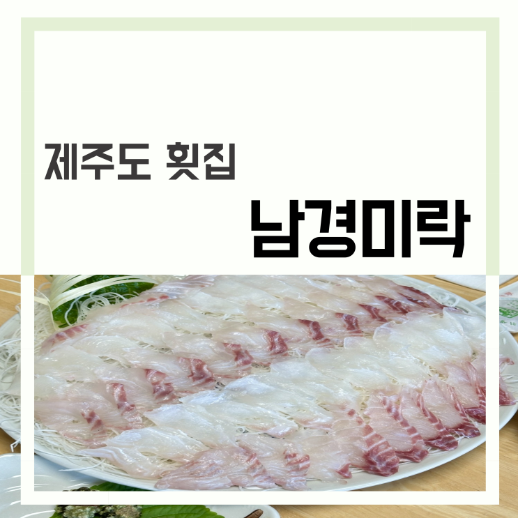  남경미락 | 제주 서귀포 횟집 산방산 바다뷰 회 맛집 다금바리 가격