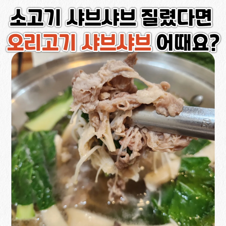  평택 월곡동 맛집_호박오리샤브샤브_n번째 간 내돈내산 후기