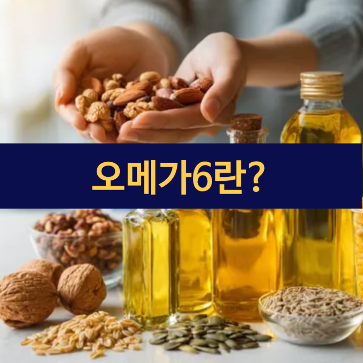  오메가6효능 | 오메가6 음식 | 오메가6지방산 섭취를 위한 건강 가이드
