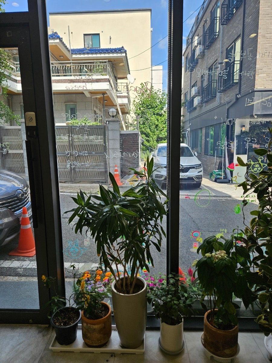 머글스 사진 6