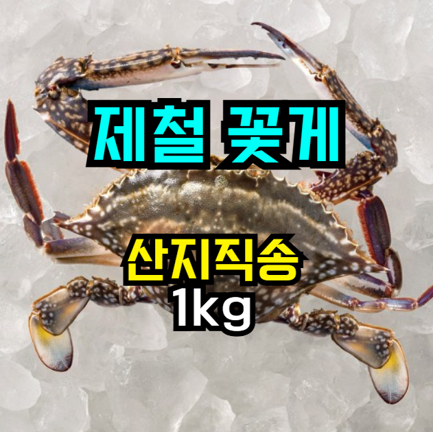   제철 꽃게 맛보자! 산지직송 25% 할인  가을·봄 식탁 필수