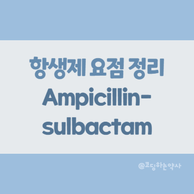  [항생제 요점 정리] Ampicillin-sulbactam (암피실린-설박탐)