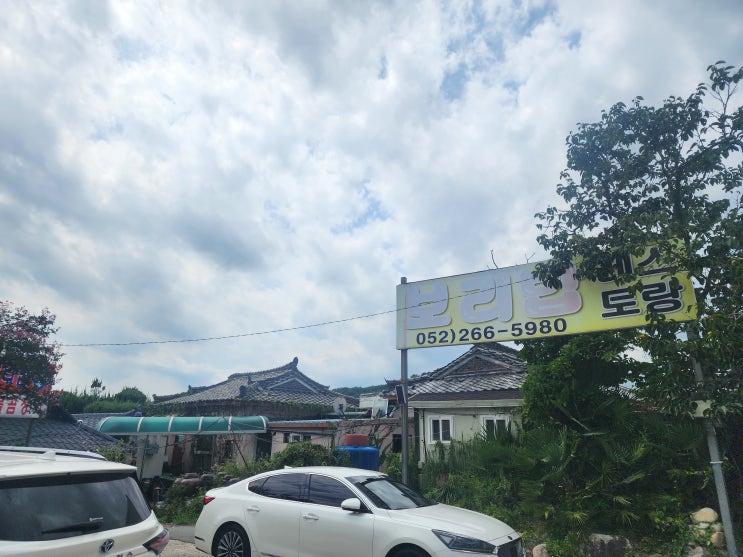  울산 울주군 청량맛집 『보리밥 레스토랑』 시골 논뷰, 내돈내산