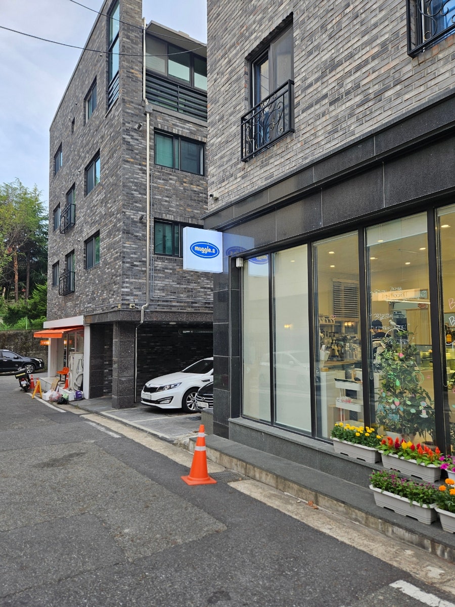 머글스 사진 1