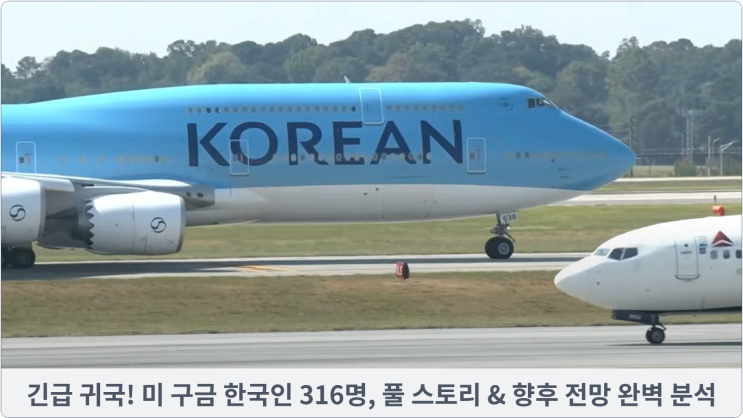  긴급 귀국! 미 구금 한국인 316명, 풀 스토리 & 향후 전망 완벽 분석
