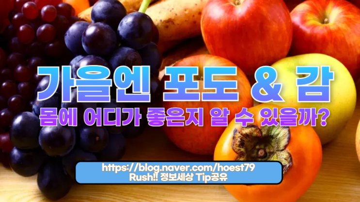  가을엔 포도 & 감, 이 과일이 몸에 어디가 좋은지 알 수 있을까?