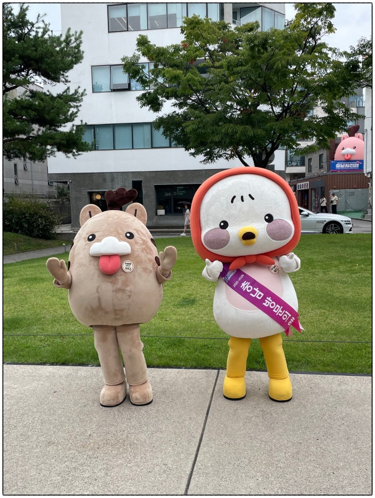  충남사진관 팝업스토어 오프팅 서울에서 즐기는 충남여행