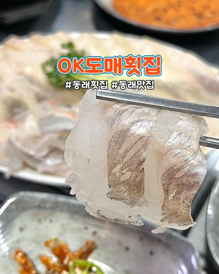  부산 동래 횟집 OK도매횟집 동래역점 가성비좋은 제철 모듬회 맛집
