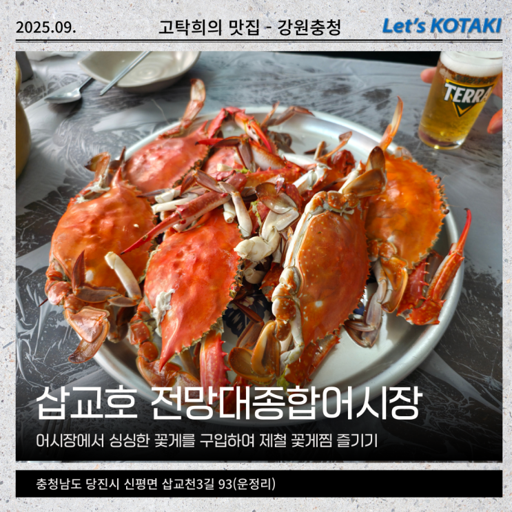  삽교호 전망대종합어시장 내돈내산 꽃게찜 2kg