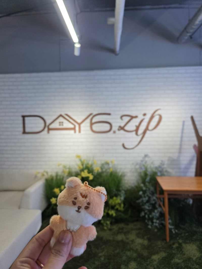 [DAY6. zip] 데이식스 10주년 팝업스토어 9월 7일 데뷔일에 맞춰서 방문한 후기