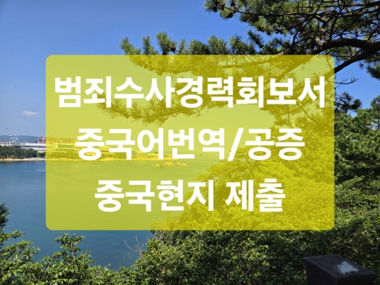  범죄수사경력회보서 중국어 번역 / 중국 제출