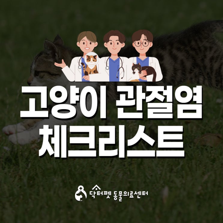  혹시 우리 냥이도?고양이 관절염 체크리스트 부산 반려묘 동물병원