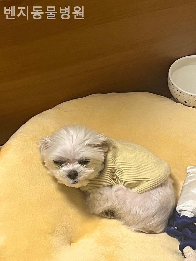 벤지동물병원 사진 6