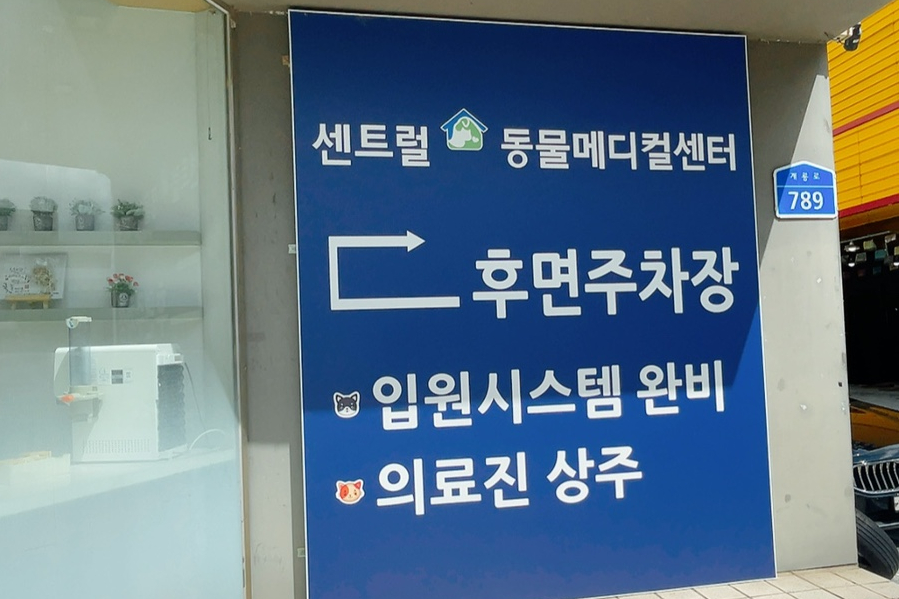 대전24시 센트럴동물병원 사진 3