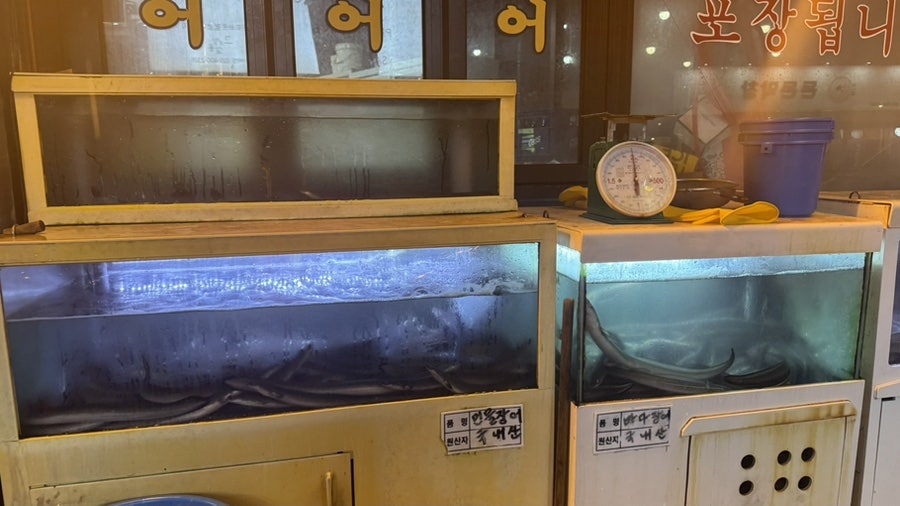 풍천장어 가락동점 사진 2