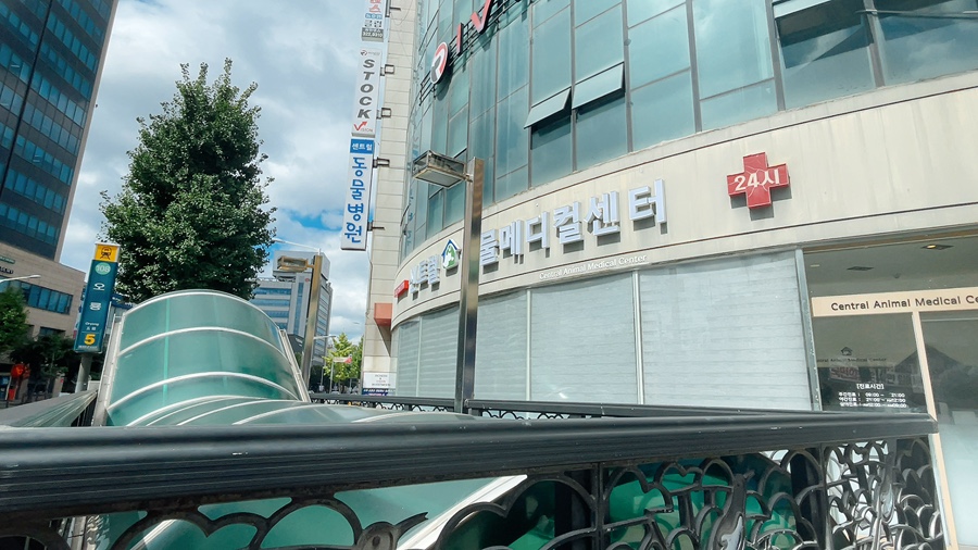 대전24시 센트럴동물병원 사진 4