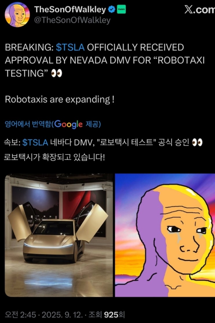  테슬라 왜 오르지?