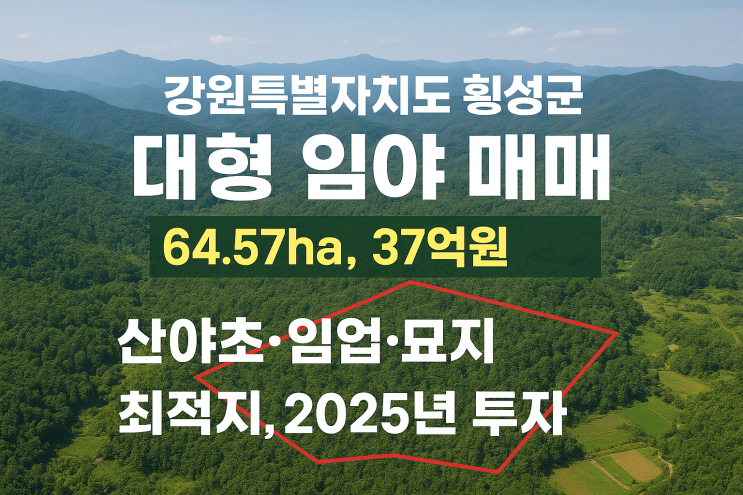  [강원특별자치도 횡성군 대형 임야 매매] 64.57ha, 37억원! 산야초·임업·묘지 최적지