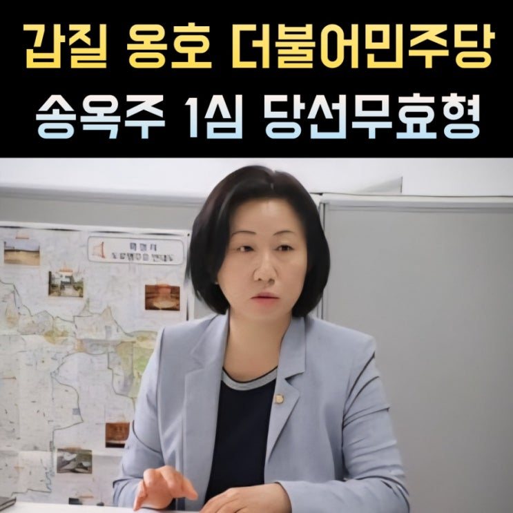 <b>송옥주</b> 프로필, 나이 고향 학력 국회<b>의원</b>