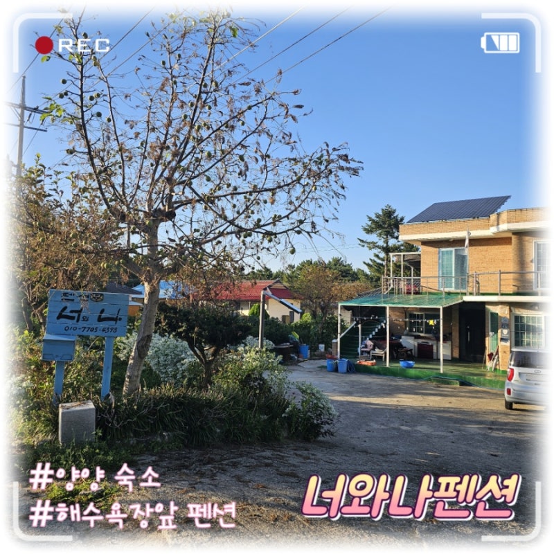사진 5