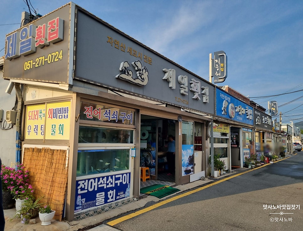 Jeilhoetjip photo 2
