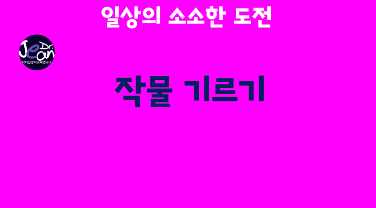 일상의 소소한 도전_작물 기르기