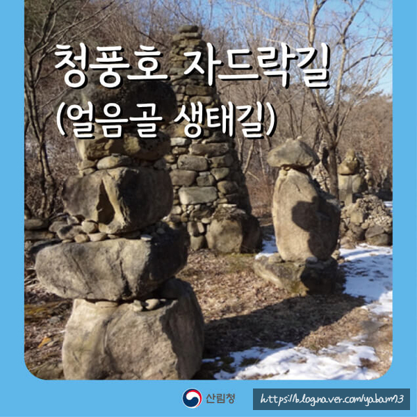 자드락 사진 2
