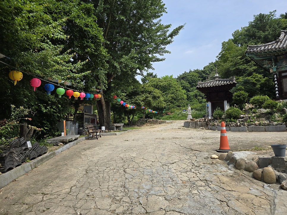 강금산 사진 5