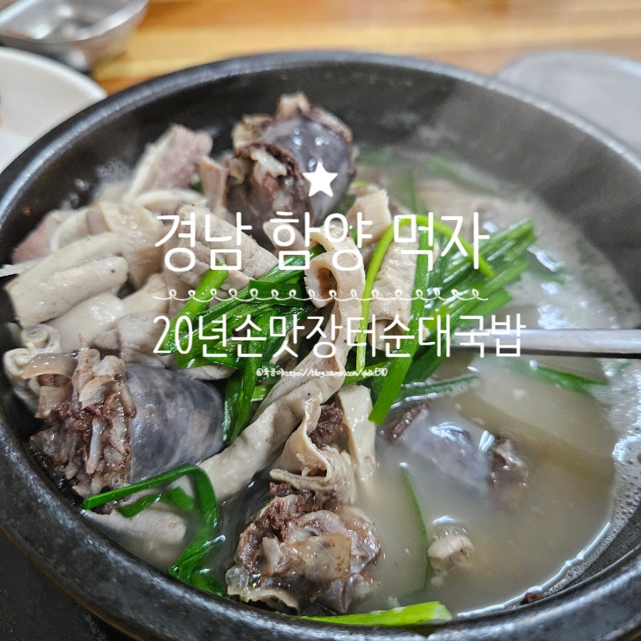 20년손맛장터순대국밥 사진 1