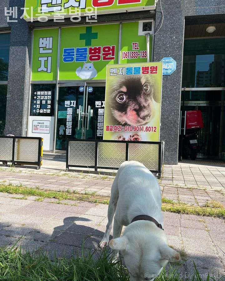 벤지동물병원 사진 2