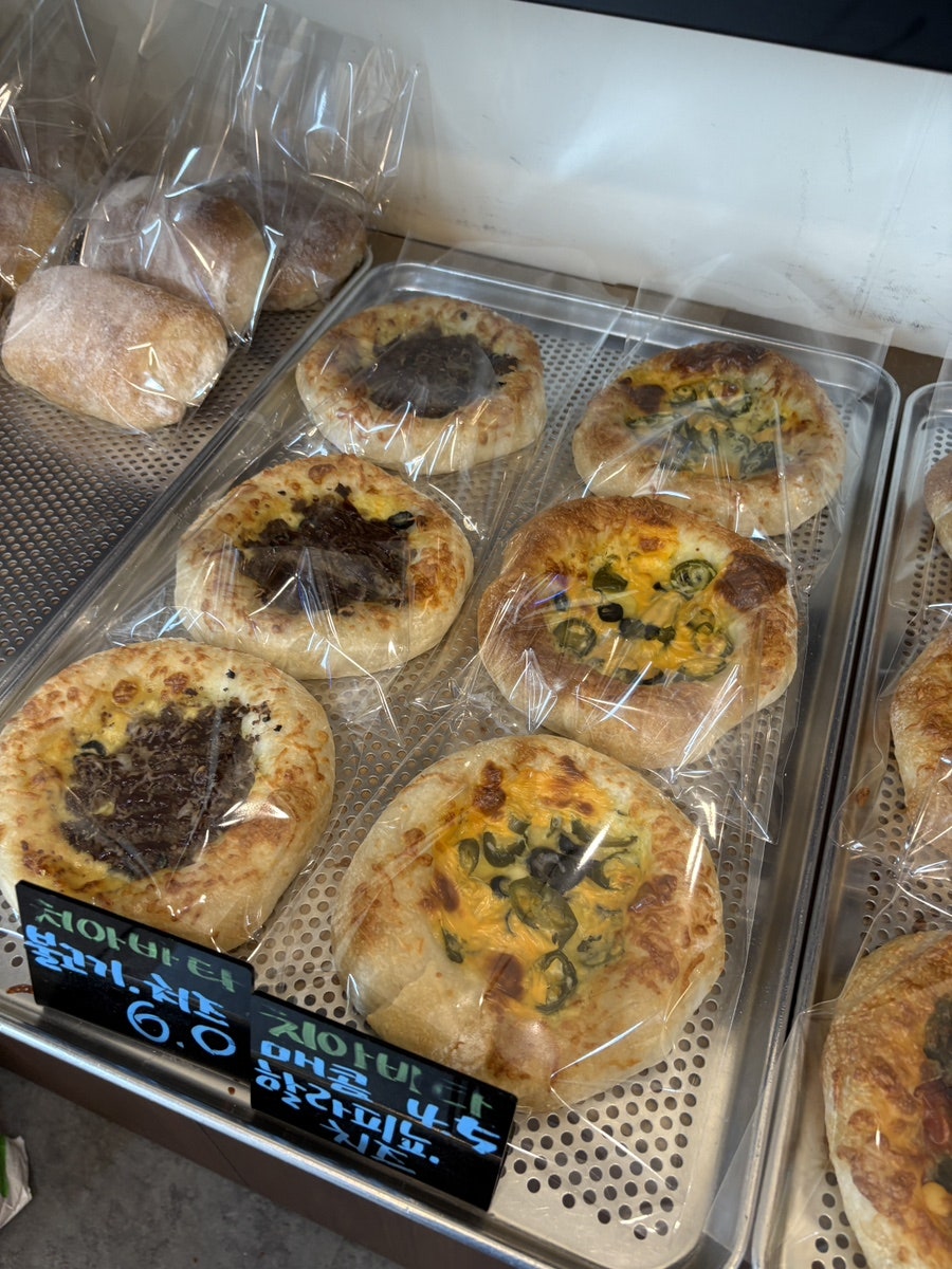하루반 사진 5