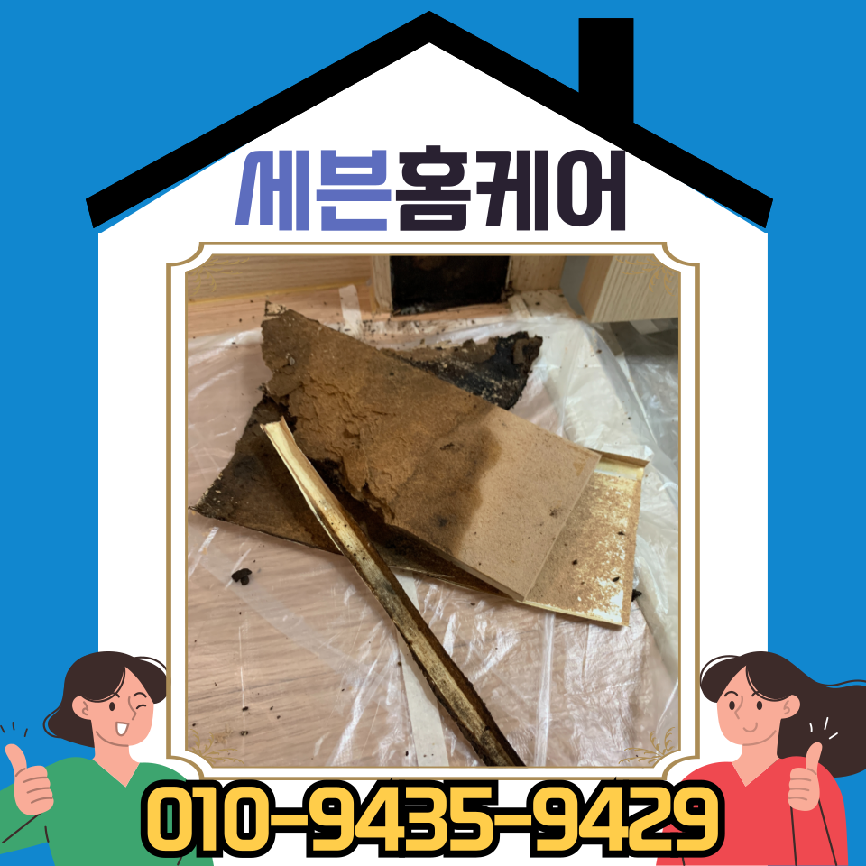 물먹은 문틀 시트지 셀프 보수 업체 비용 및 방법(나무, 썩었을 때, 서울)