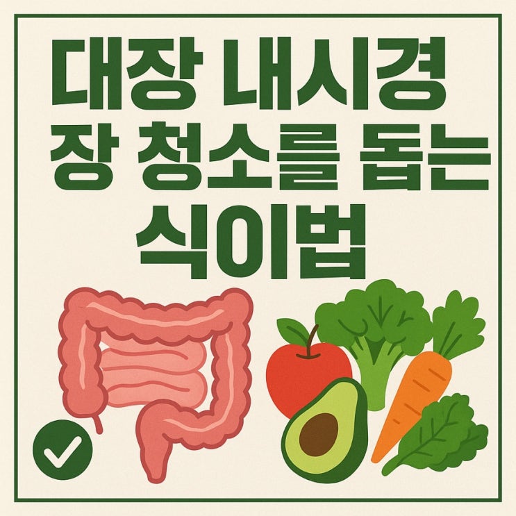  대장 내시경 장 청소를 돕는 식이법 – 검사 전 꼭 알아야 할 준비 가이드