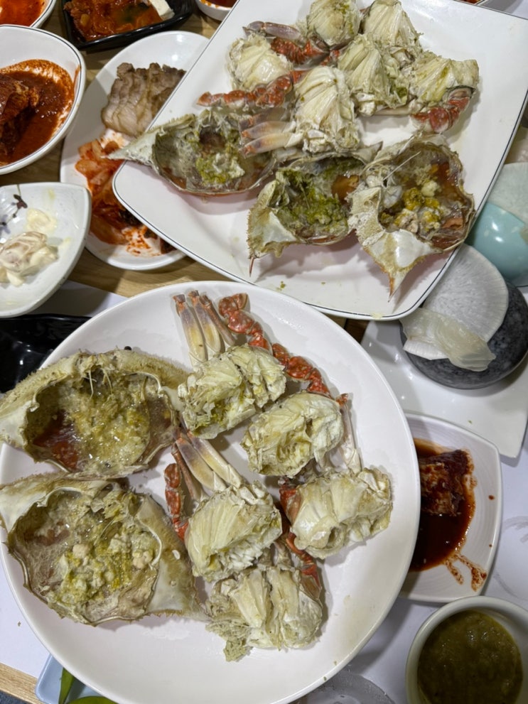  [목포식당] 합정 홍대 이모카세 4만원의 행복 꽃게찜 가성비 지림 찐후기