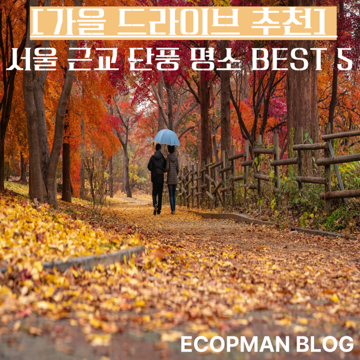  [가을 드라이브 추천] 서울 근교 단풍 명소 BEST 5 – 당일치기 나들이 코스 모음